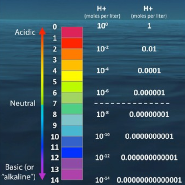 pH, Concentration (%) & Layerin